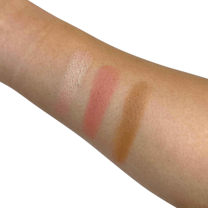 Cheek C288 Pro Cheek Palette - Stunning Cheek Color and Contour for Every Look